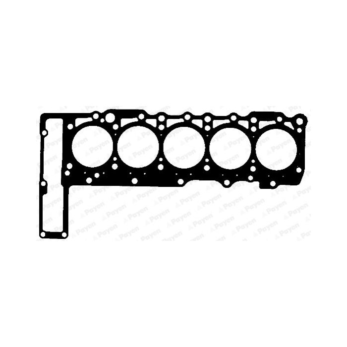 PAYEN Dichtung, Zylinderkopf BZ870