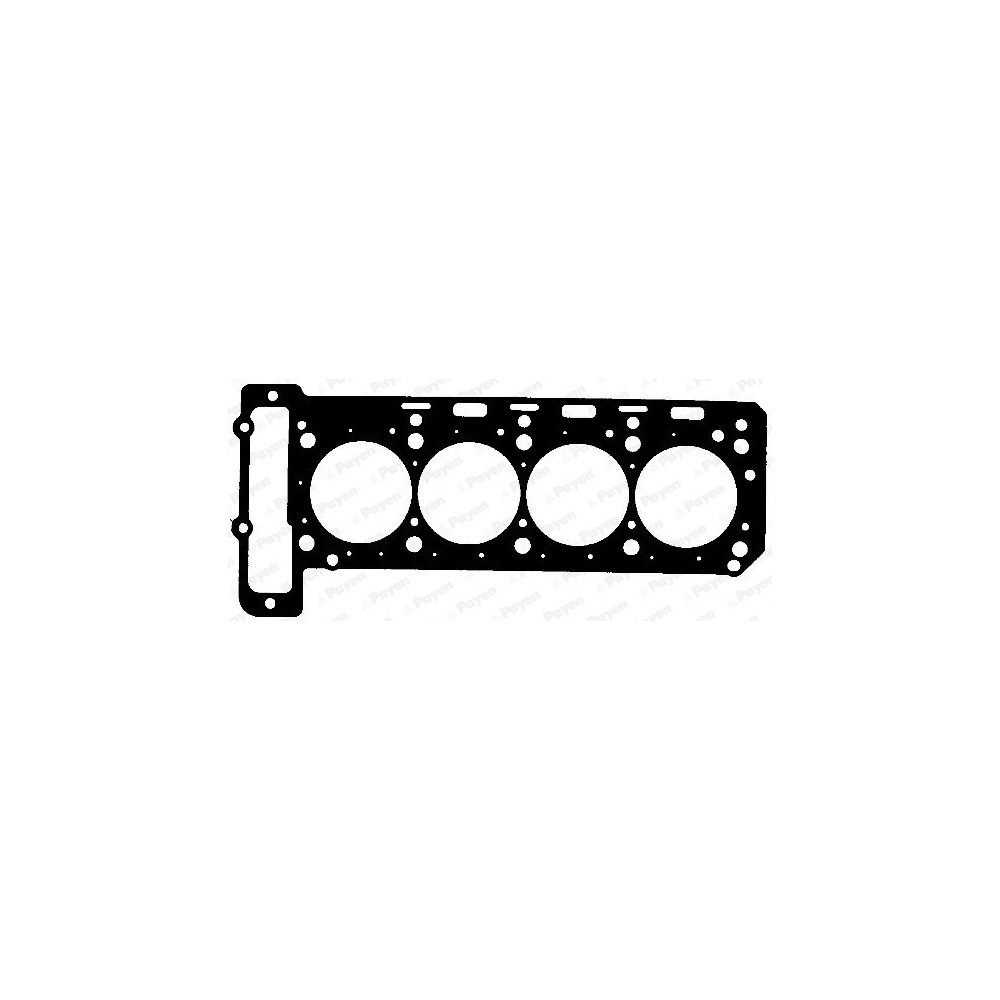 PAYEN Dichtung, Zylinderkopf BZ880