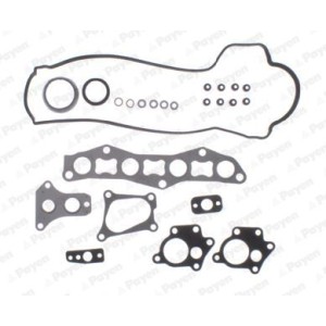 PAYEN Dichtungssatz, Zylinderkopf CG7600