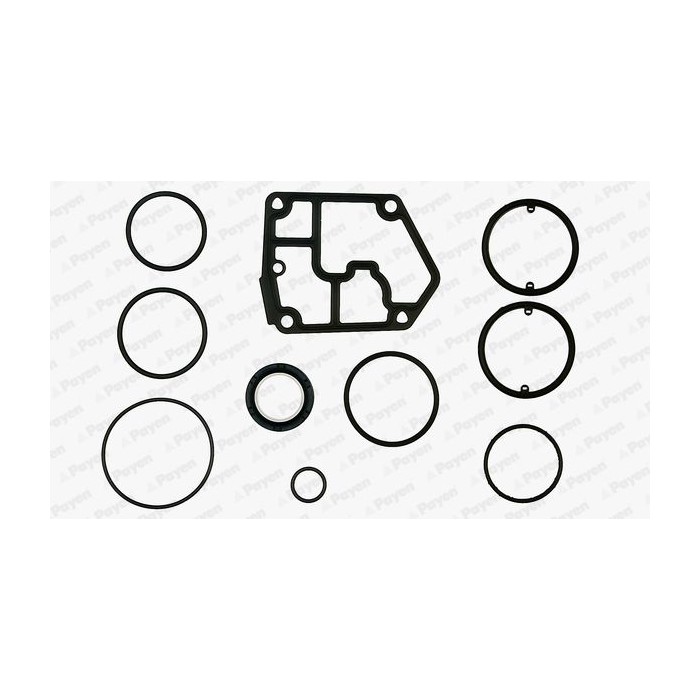 PAYEN Dichtungssatz, Kurbelgehäuse EF5380