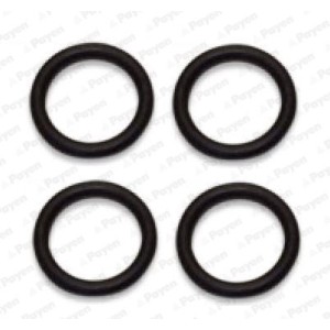 PAYEN Dichtungssatz, Ansaugkrümmer HA5029