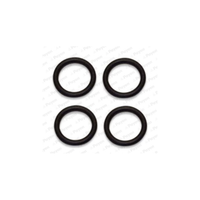 PAYEN Dichtungssatz, Ansaugkrümmer HA5029