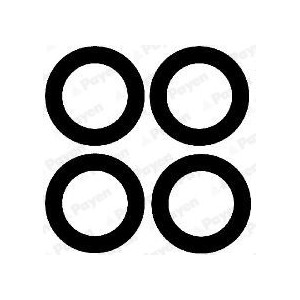 PAYEN Dichtungssatz, Ansaugkrümmer HA5030