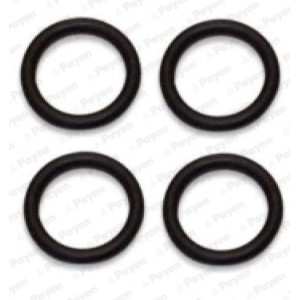 PAYEN Dichtungssatz, Ansaugkrümmer HA5031