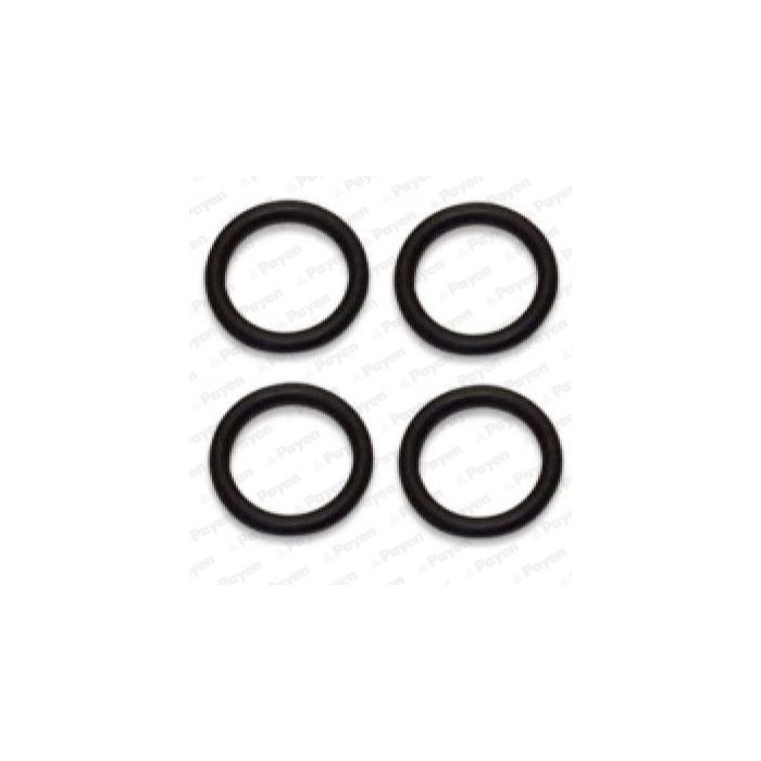 PAYEN Dichtungssatz, Ansaugkrümmer HA5031