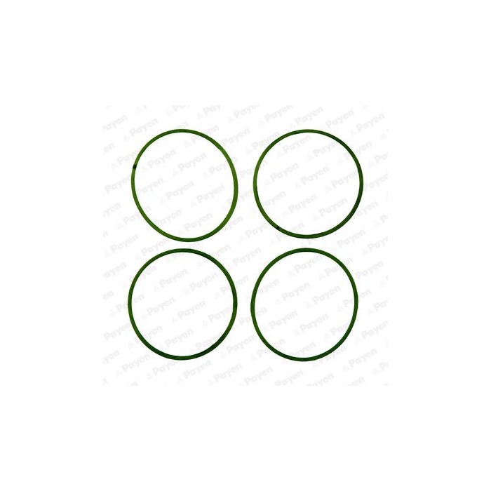 PAYEN Dichtungssatz, Ansaugkrümmer HA5032