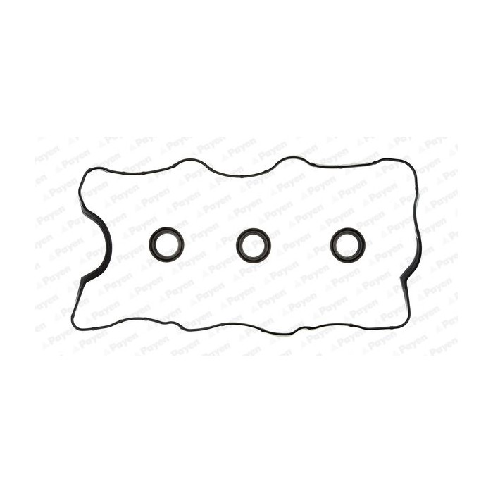 PAYEN Dichtungssatz, Zylinderkopfhaube HM5250