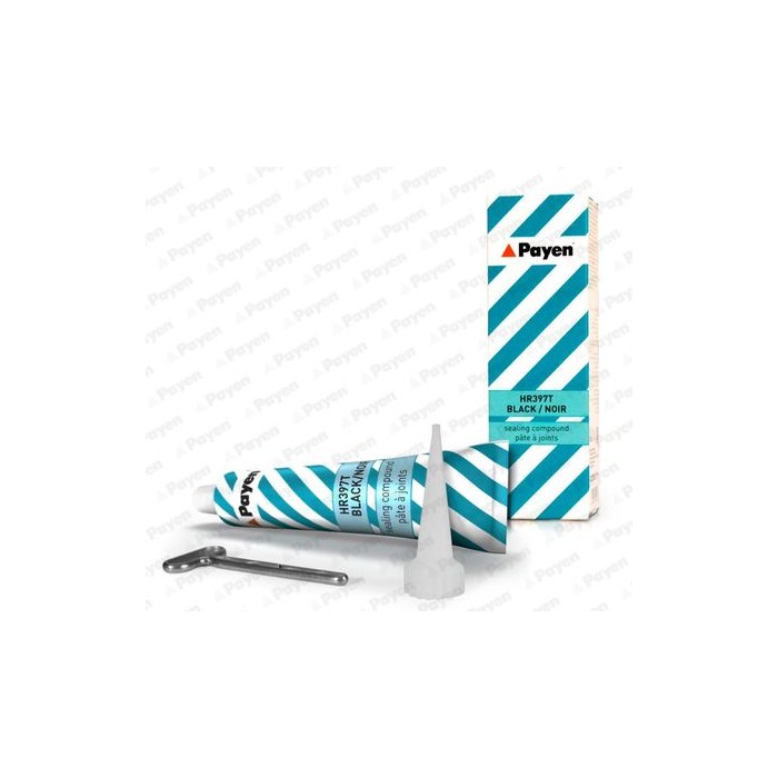 PAYEN Dichtung, Ansaugkrümmer HR397T