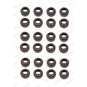 PAYEN Dichtungssatz, Ventilschaft HR5055