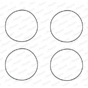 PAYEN Dichtungssatz, Zylinderlaufbuchse HR564