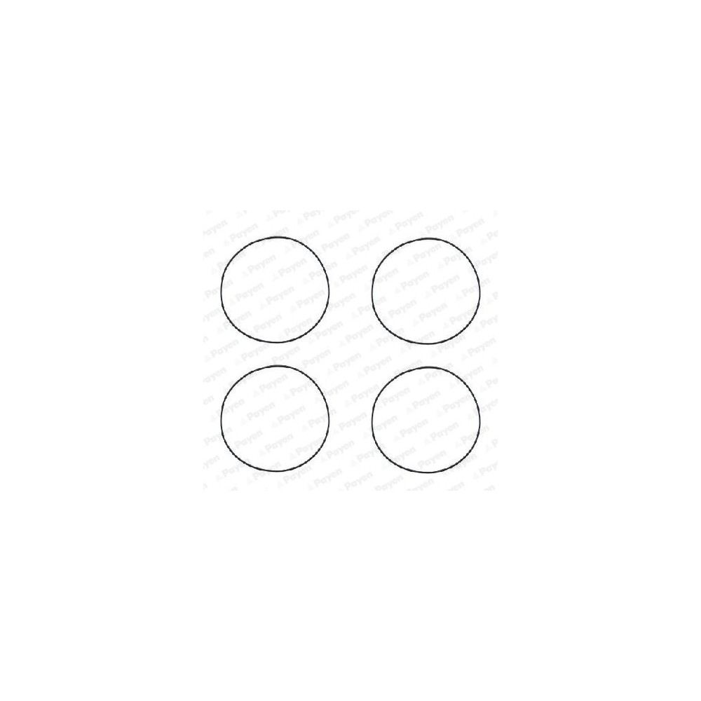 PAYEN Dichtungssatz, Zylinderlaufbuchse HR564