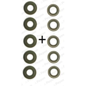 PAYEN Dichtungssatz, Ventilschaft HR758