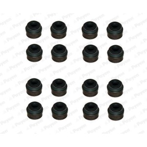 PAYEN Dichtungssatz, Ventilschaft HR814