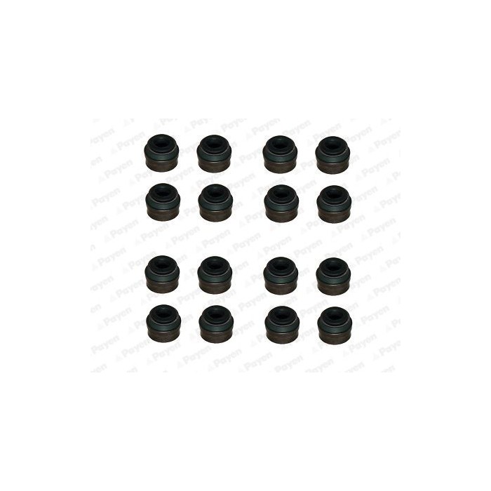 PAYEN Dichtungssatz, Ventilschaft HR814