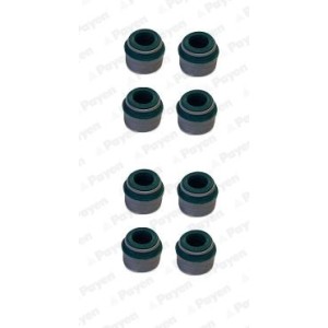 PAYEN Dichtungssatz, Ventilschaft HR816