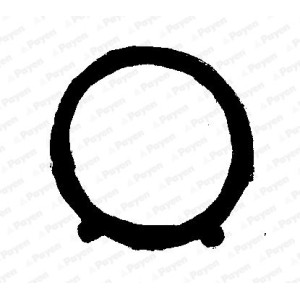 PAYEN Dichtung, Ansaugkrümmer JA5011