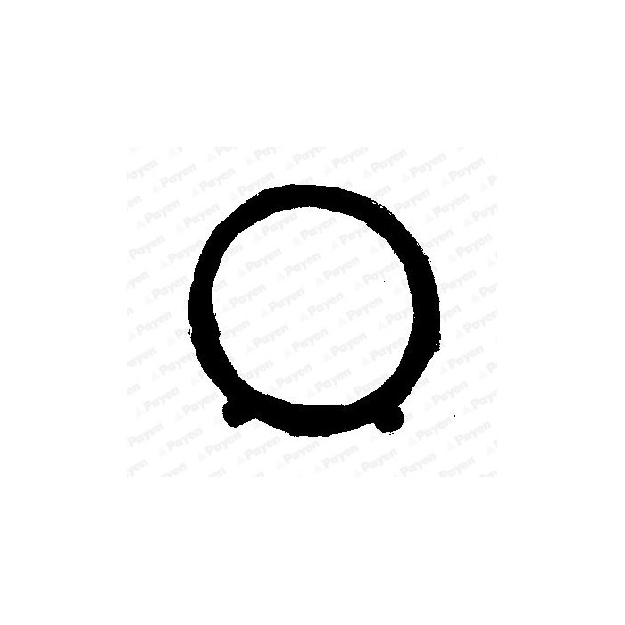 PAYEN Dichtung, Ansaugkrümmer JA5011