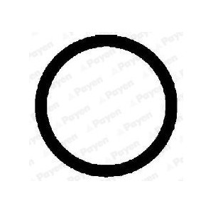 PAYEN Dichtung, Ansaugkrümmer JD475