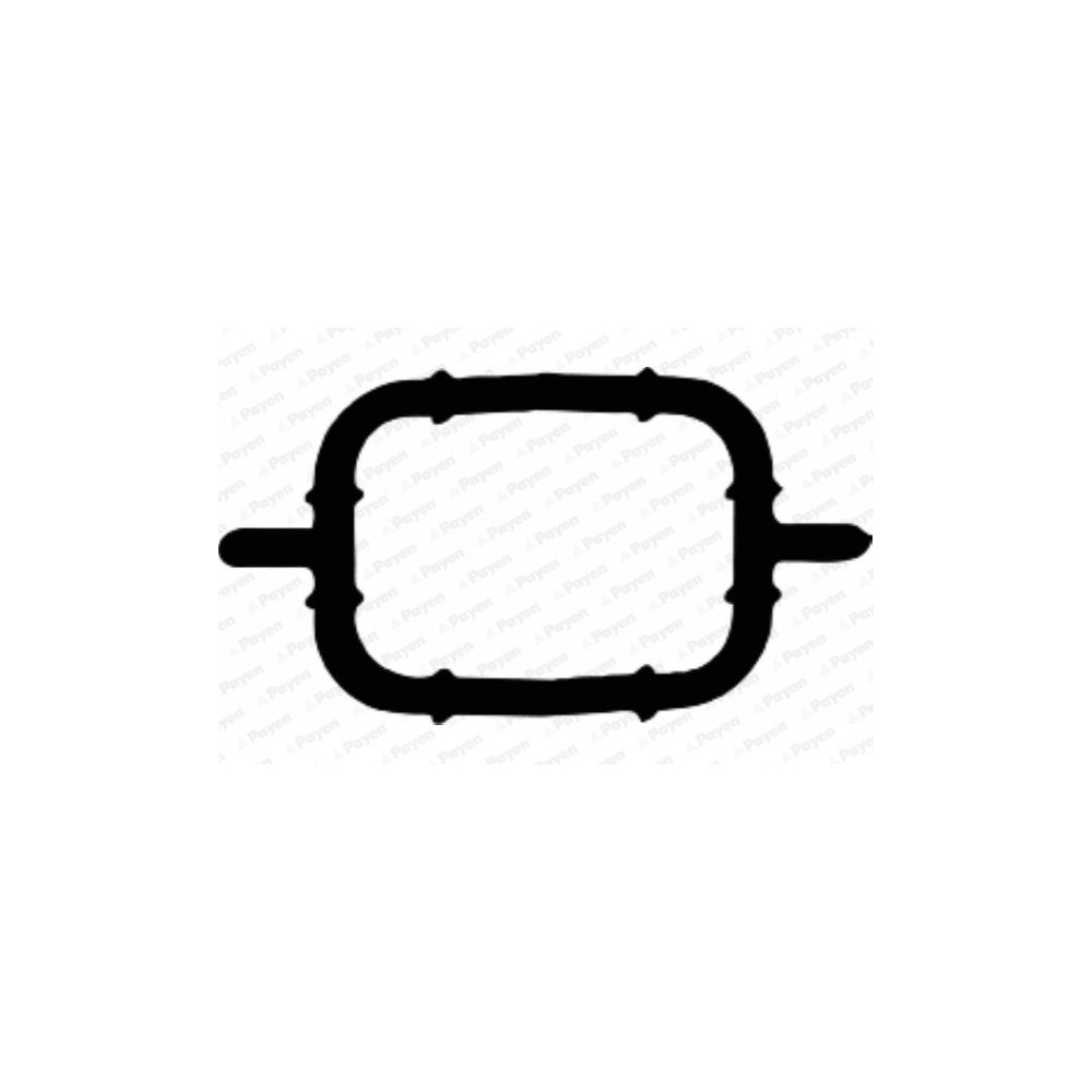 PAYEN Dichtung, Ansaugkrümmer JD5108