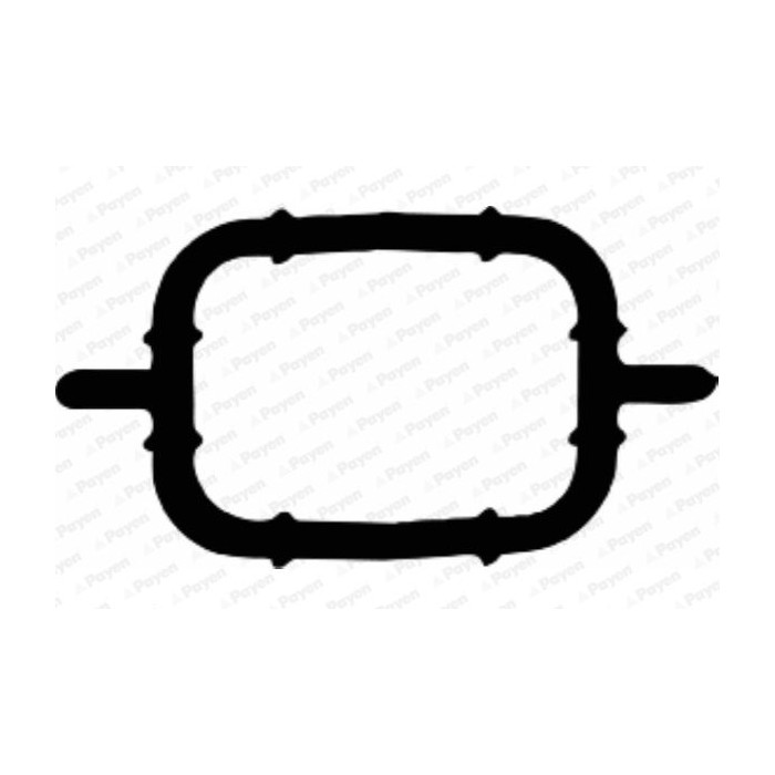 PAYEN Dichtung, Ansaugkrümmer JD5108