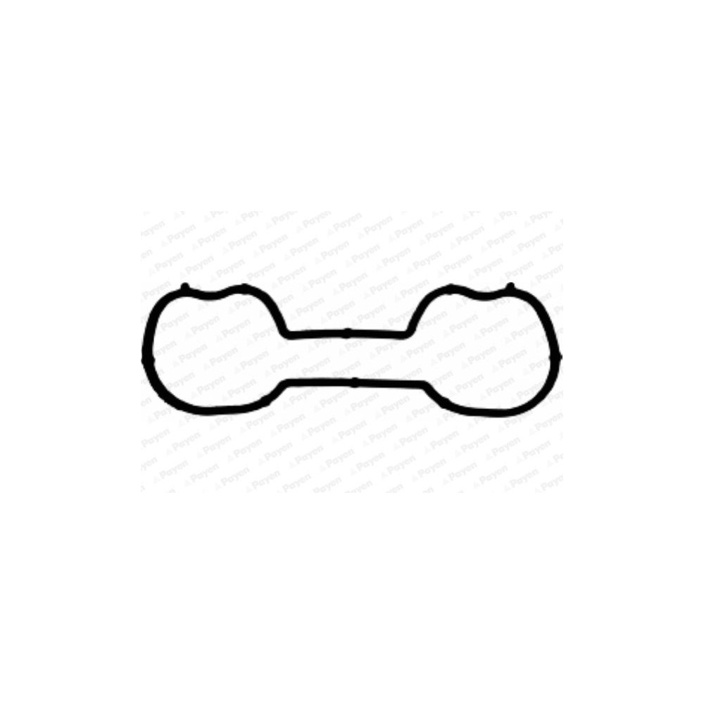 PAYEN Dichtung, Ansaugkrümmer JD5230