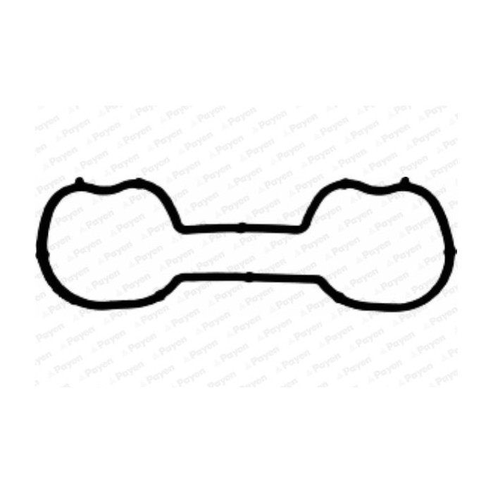 PAYEN Dichtung, Ansaugkrümmer JD5230
