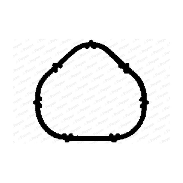 PAYEN Dichtung, Ansaugkrümmer JD5885