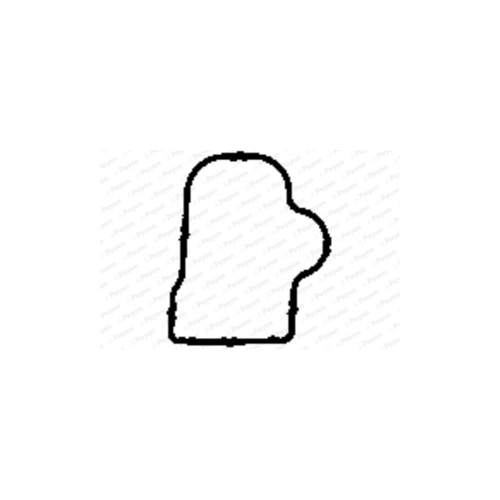 PAYEN Dichtung, Ansaugkrümmer JD5904