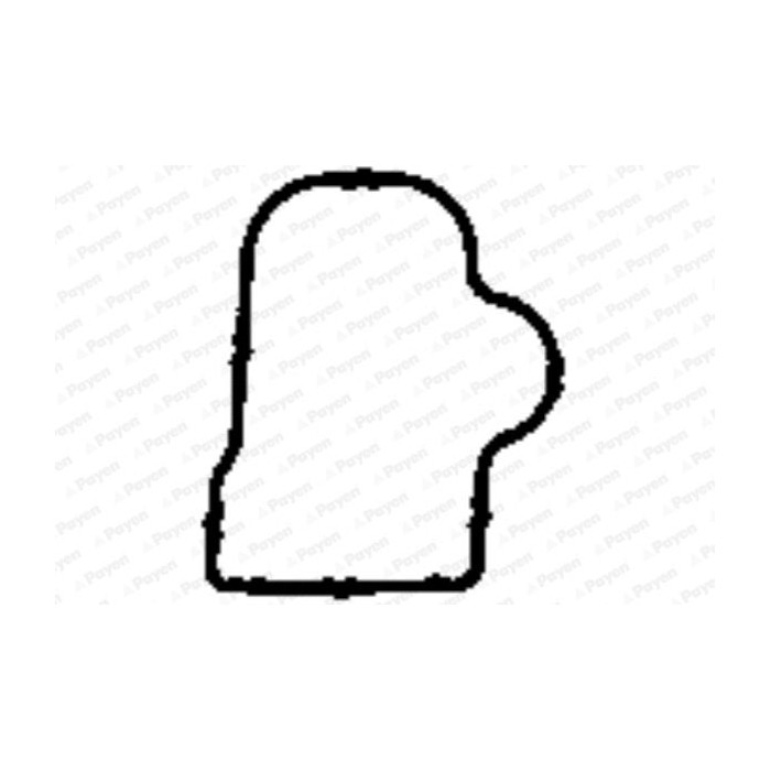 PAYEN Dichtung, Ansaugkrümmer JD5904