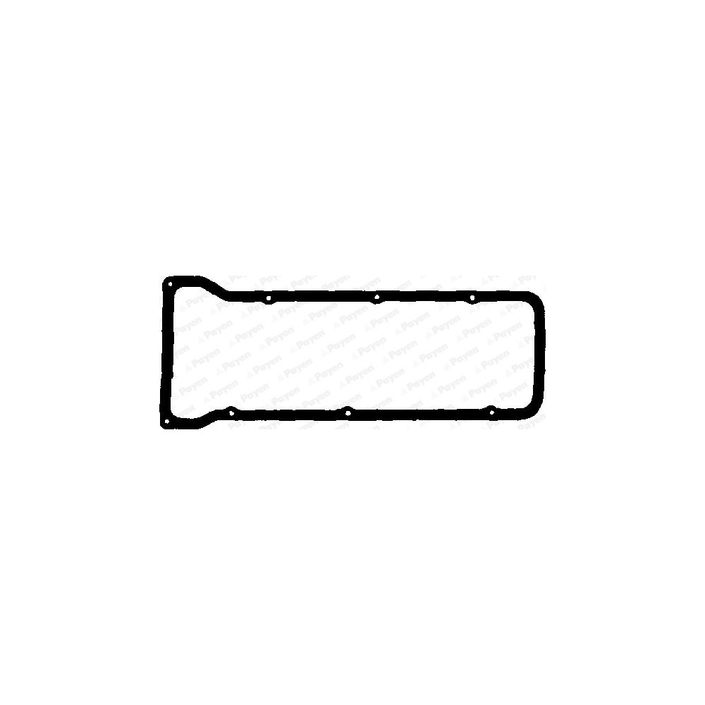 PAYEN Dichtung, Zylinderkopfhaube JM077