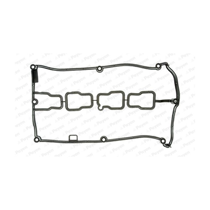 PAYEN Dichtung, Zylinderkopfhaube JM5002