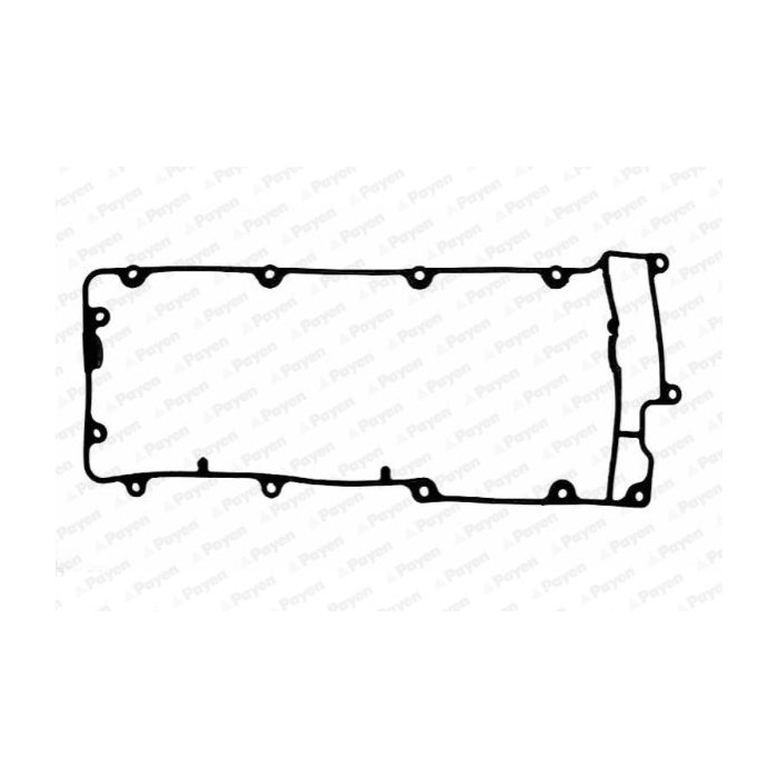 PAYEN Dichtung, Zylinderkopfhaube JM5034