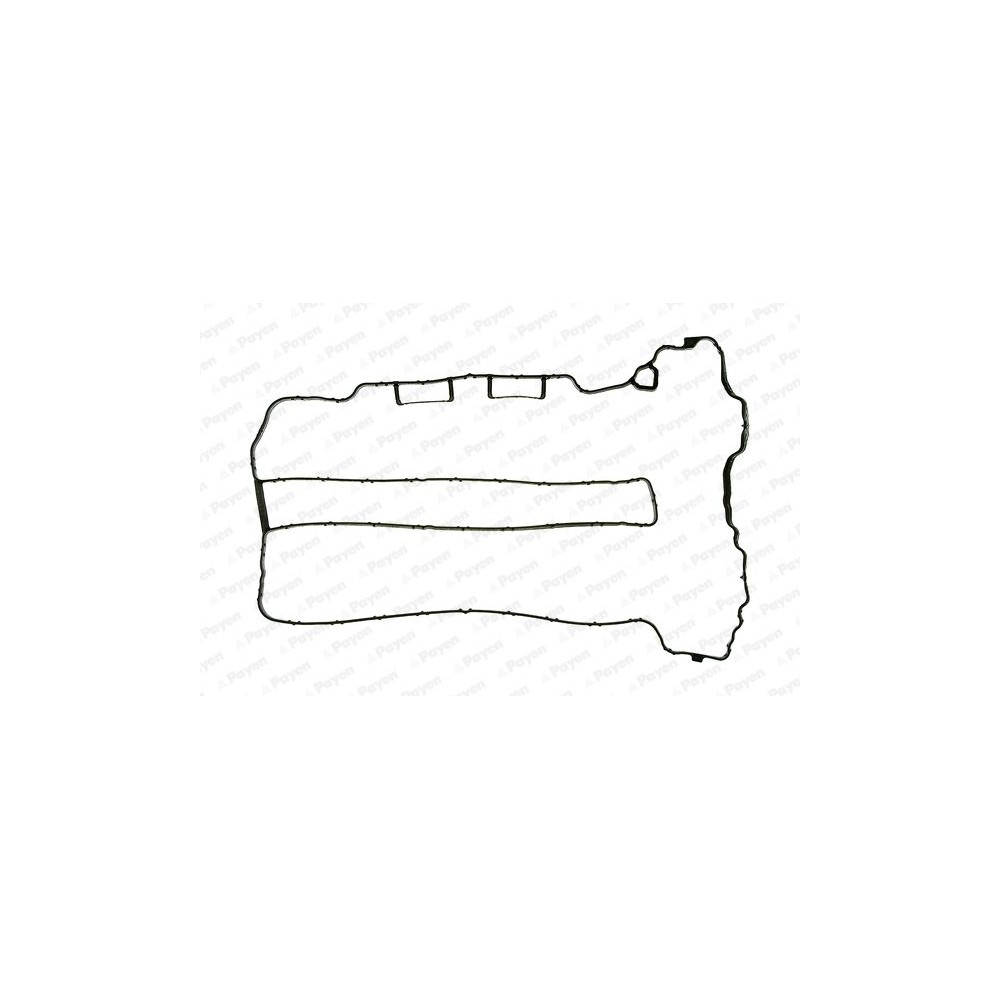 PAYEN Dichtung, Zylinderkopfhaube JM5071