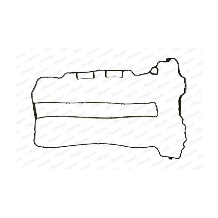 PAYEN Dichtung, Zylinderkopfhaube JM5071