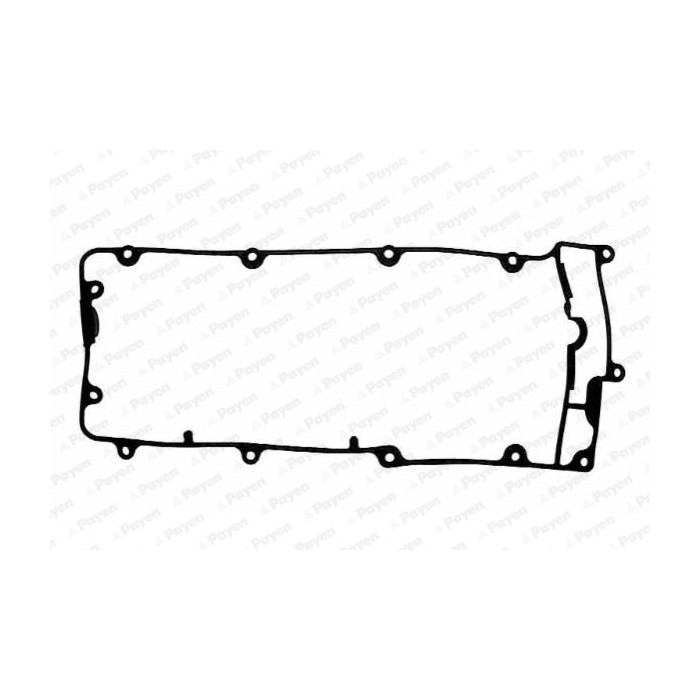 PAYEN Dichtung, Zylinderkopfhaube JM5074