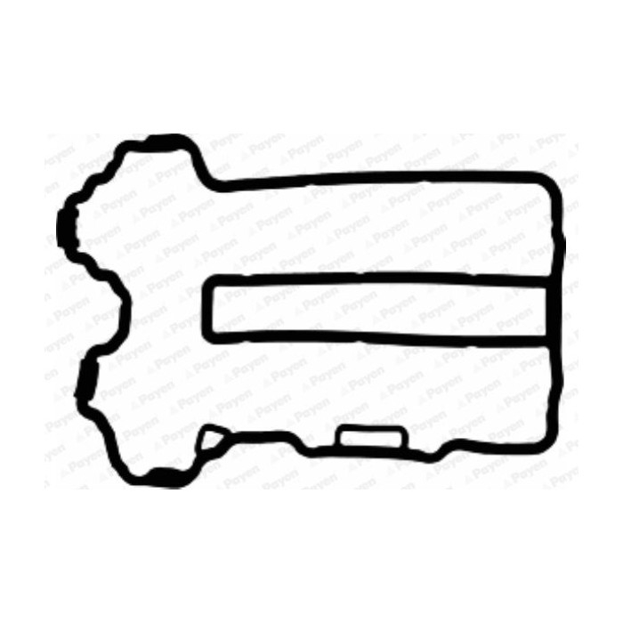 PAYEN Dichtung, Zylinderkopfhaube JM5085