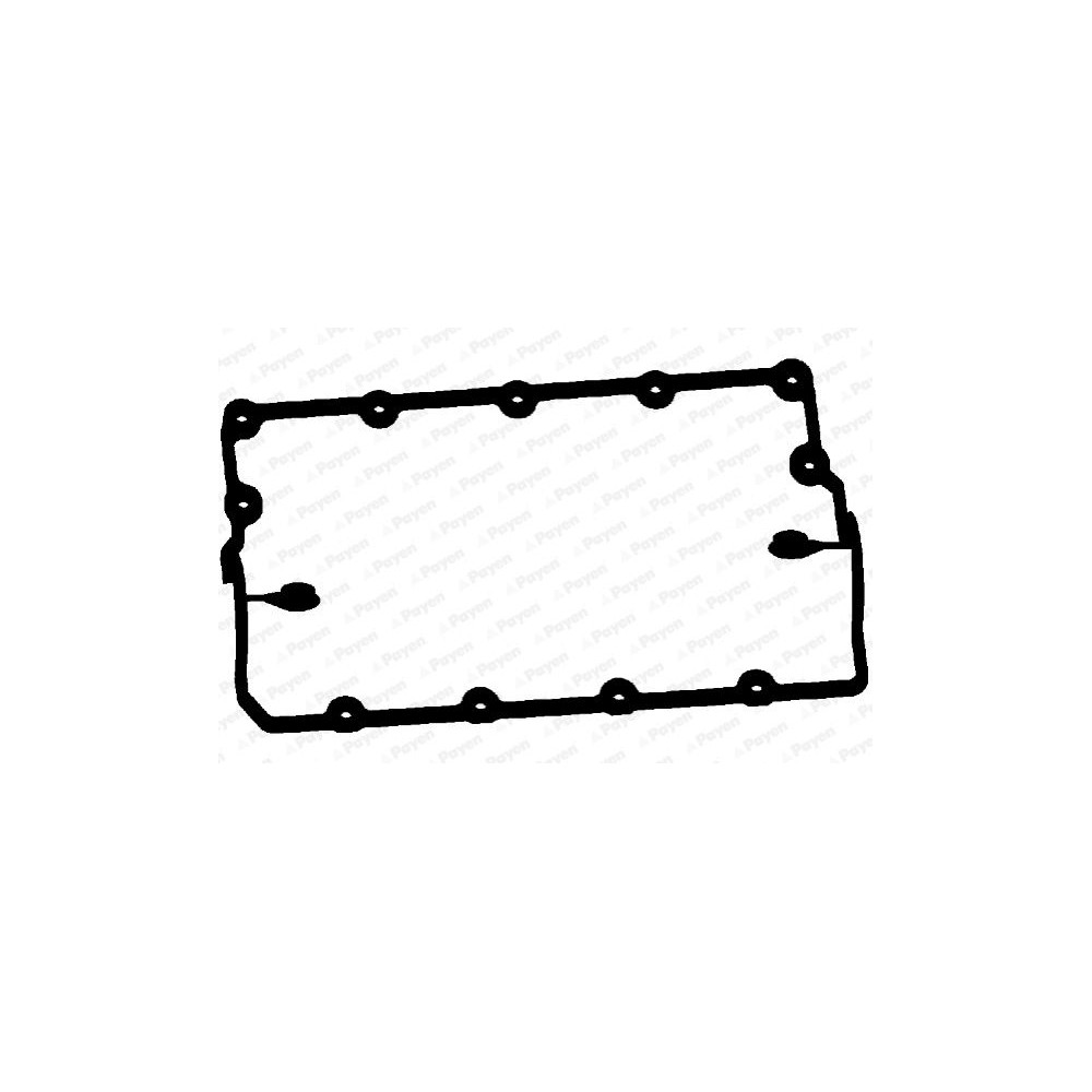 PAYEN Dichtung, Zylinderkopfhaube JM5120