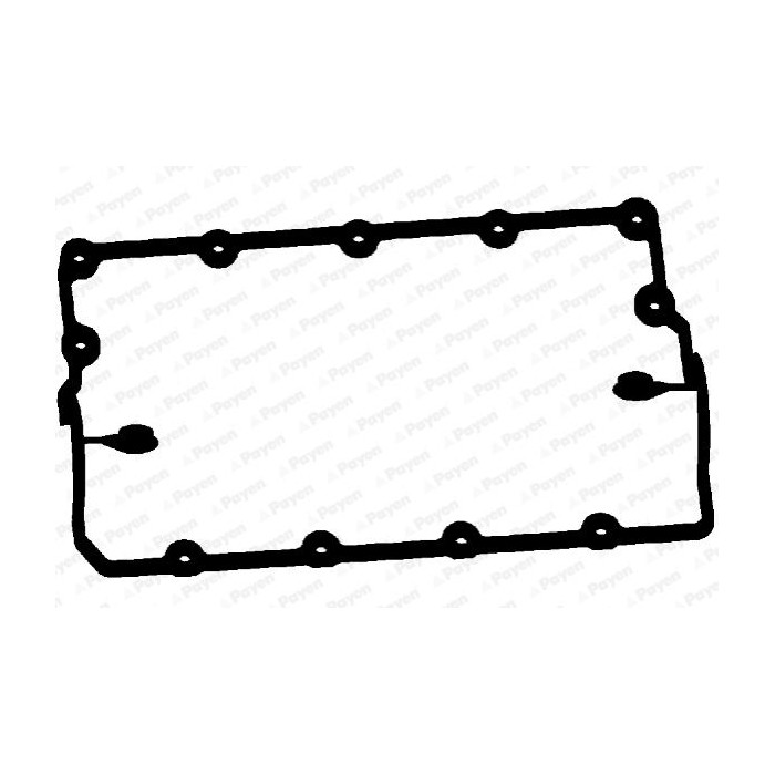 PAYEN Dichtung, Zylinderkopfhaube JM5120