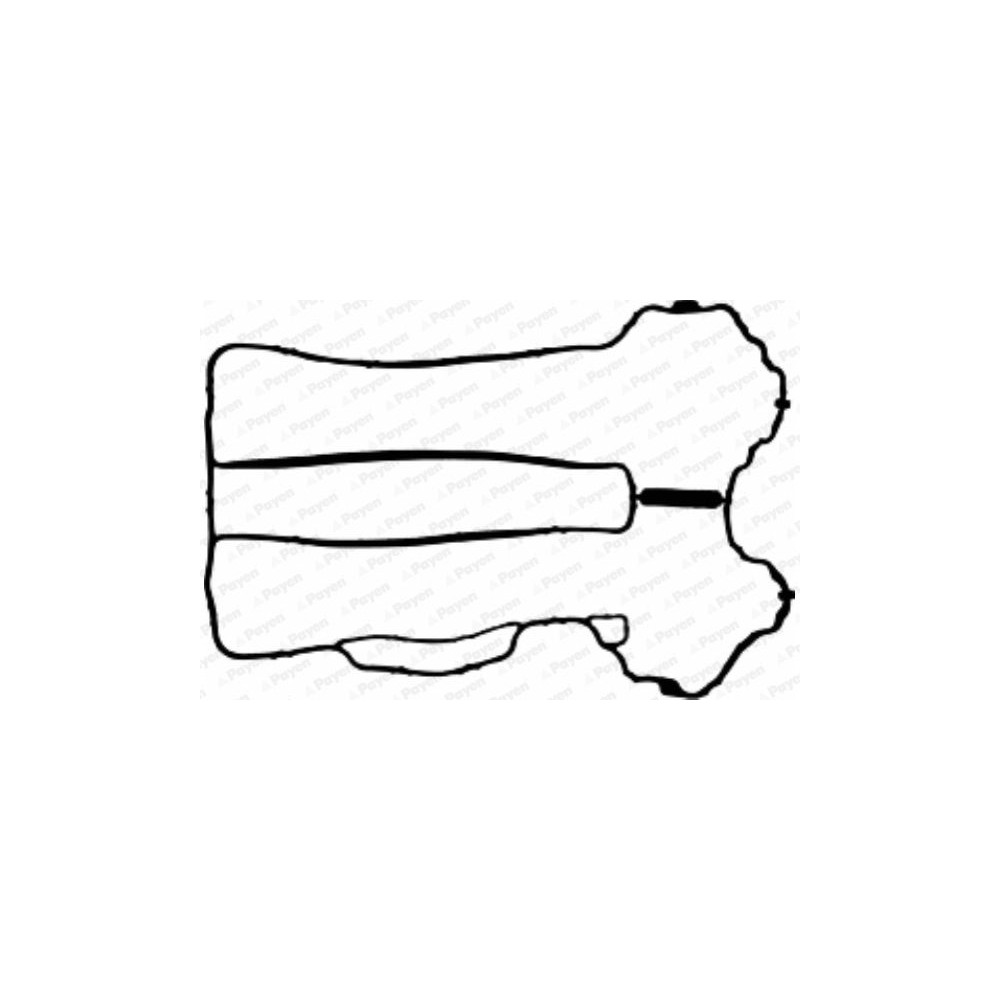 PAYEN Dichtung, Zylinderkopfhaube JM5121