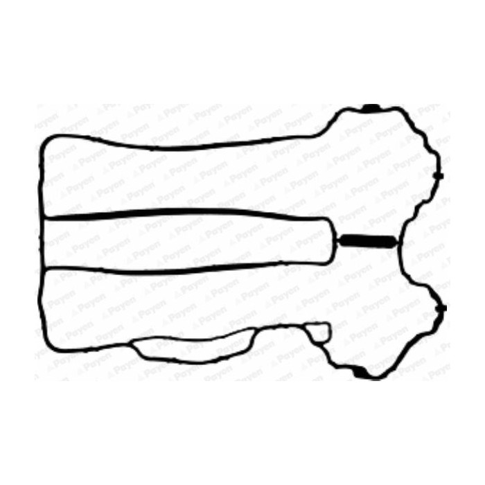 PAYEN Dichtung, Zylinderkopfhaube JM5121