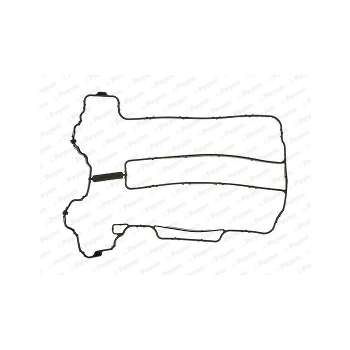 PAYEN Dichtung, Zylinderkopfhaube JM5121