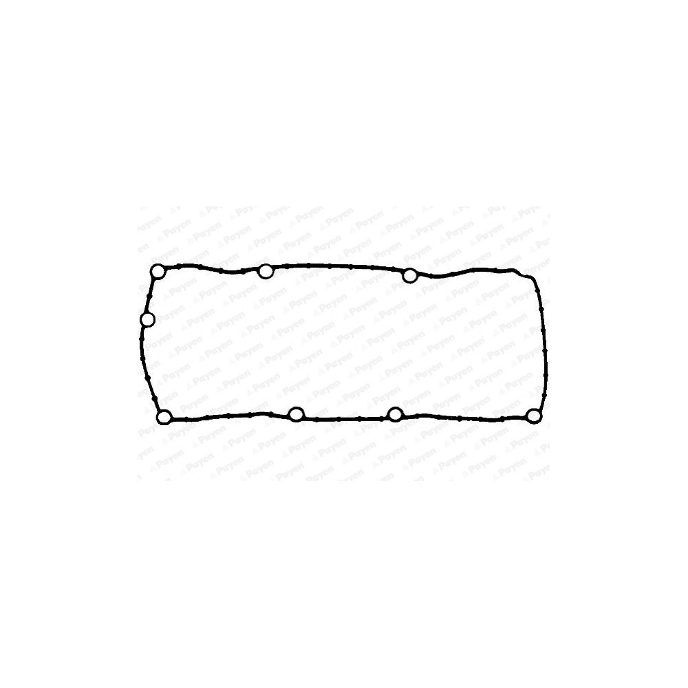 PAYEN Dichtung, Zylinderkopfhaube JM5131