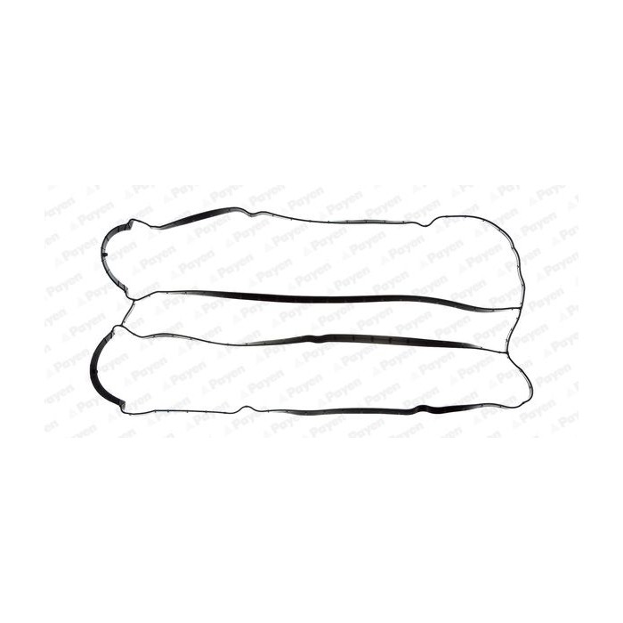 PAYEN Dichtung, Zylinderkopfhaube JM5155