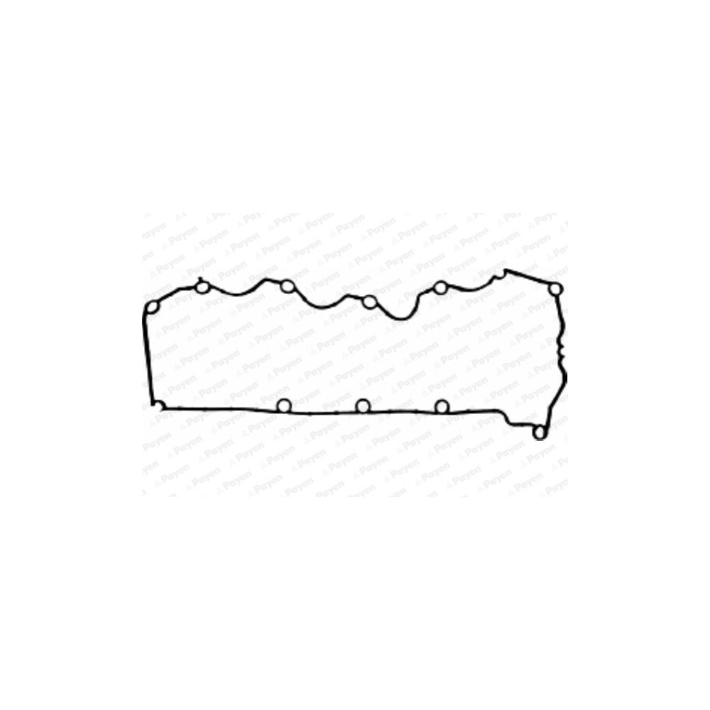 PAYEN Dichtung, Zylinderkopfhaube JM5163