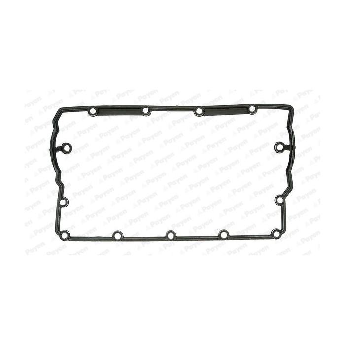 PAYEN Dichtung, Zylinderkopfhaube JM5203