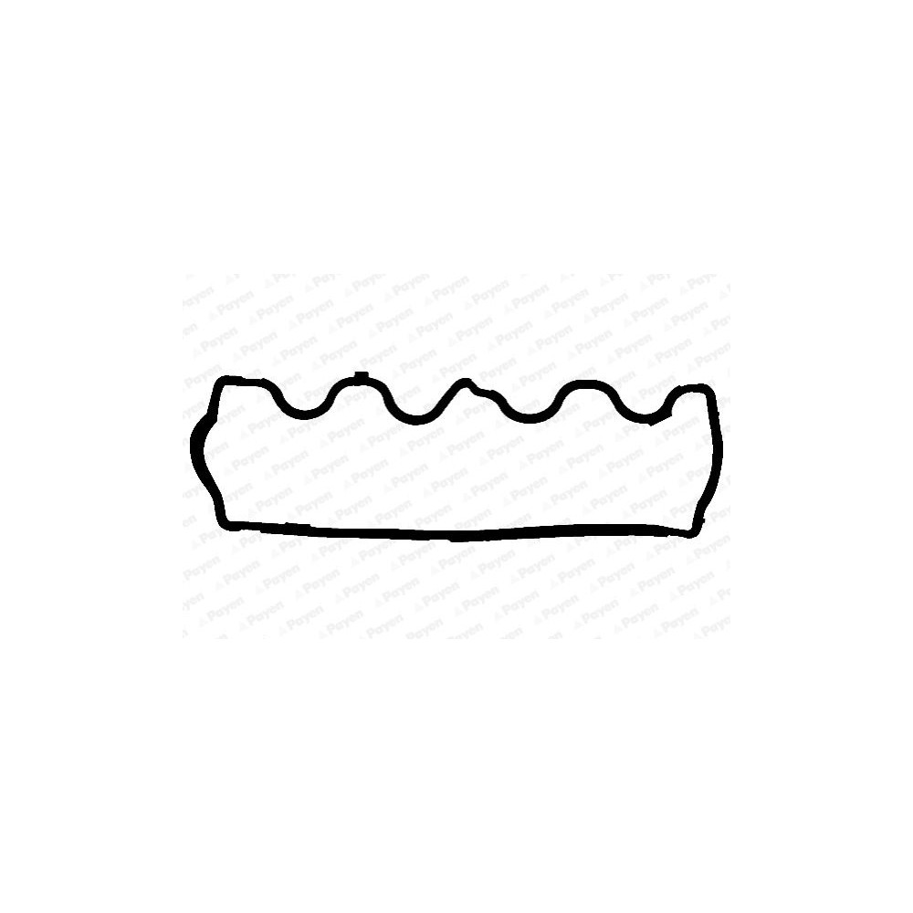 PAYEN Dichtung, Zylinderkopfhaube JM5204