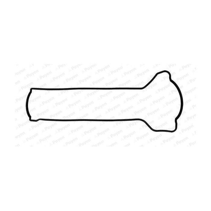 PAYEN Dichtung, Zylinderkopfhaube JM5288