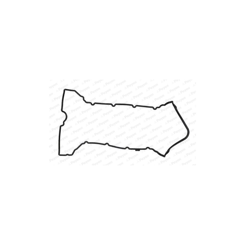 PAYEN Dichtung, Zylinderkopfhaube JM7027