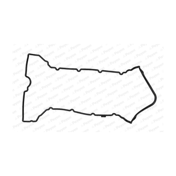 PAYEN Dichtung, Zylinderkopfhaube JM7027