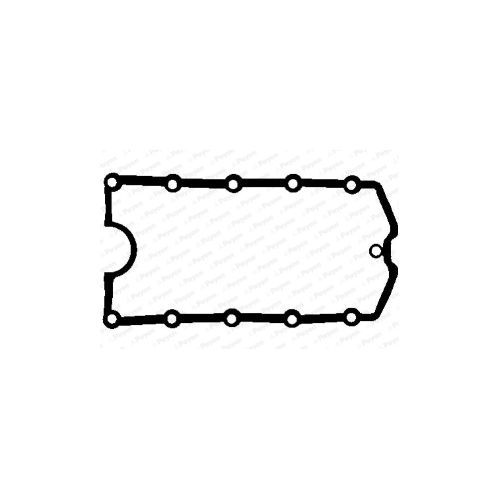 PAYEN Dichtung, Zylinderkopfhaube JM7029